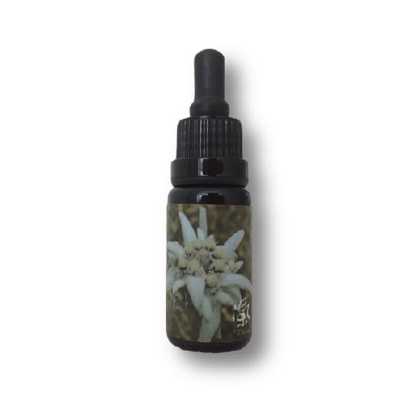 薄雪草花氣 Small Leaf Edelweiss