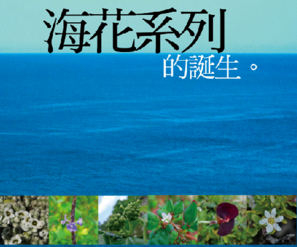 台灣-海花花氣